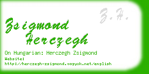 zsigmond herczegh business card